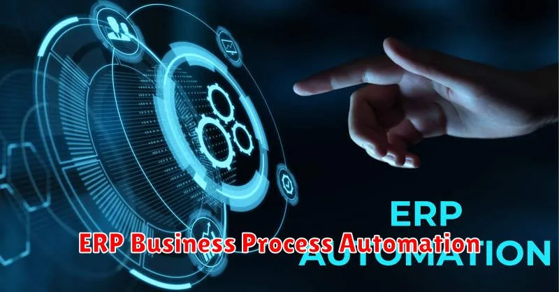 ERP Business Process Automation