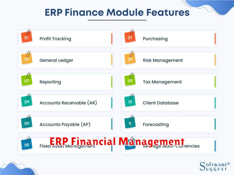 ERP Financial Management