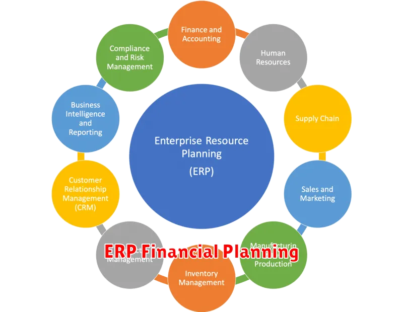 ERP Financial Planning