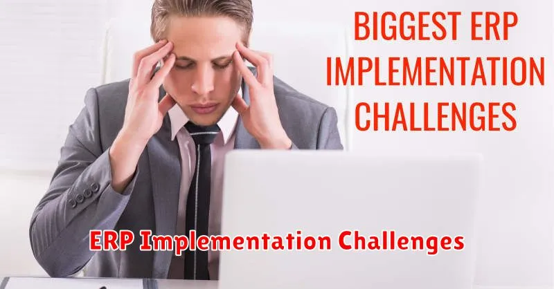 ERP Implementation Challenges